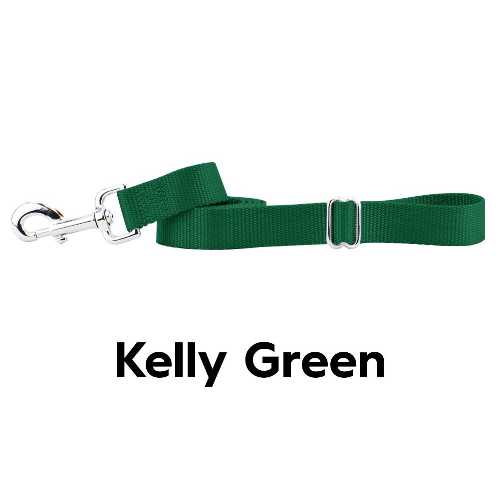 5/8" and 1" Premium Nylon Dog Leash - 6': Black / 1 Inch