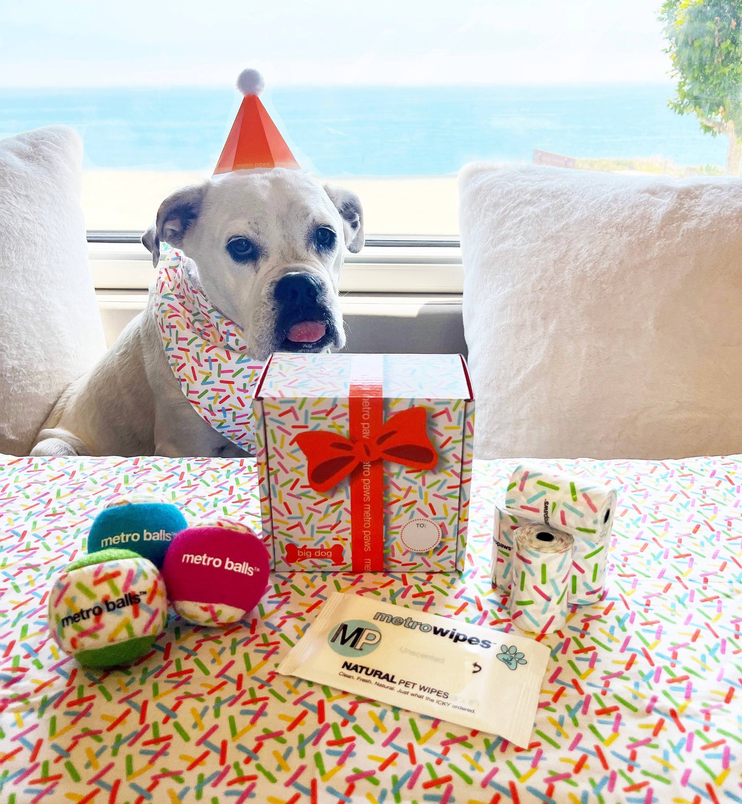 Metro Pawty Box: Lil Dog (2" Mini Metro Balls Included)