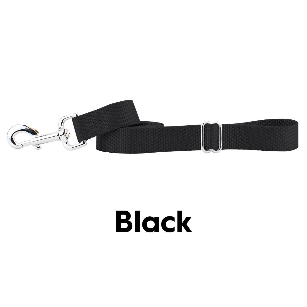 5/8" and 1" Premium Nylon Dog Leash - 6': Teal / 1 Inch