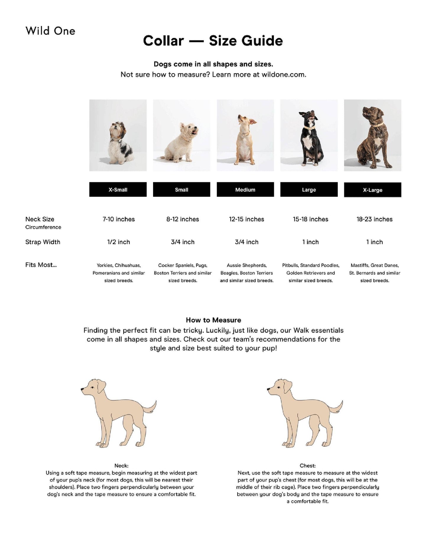 Adjustable Waterproof Fashion Dog Collar: Moonstone / X-SMALL