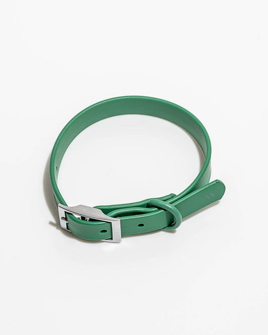 Adjustable Waterproof Fashion Dog Collar: Spruce / SMALL