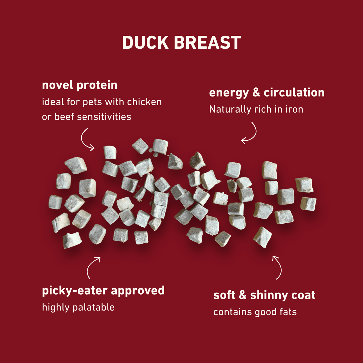 Freeze-Dried Duck Breast Treats for Dogs & Cats — Single Ingredient, Grab-and-Go Packs: 10-PACK