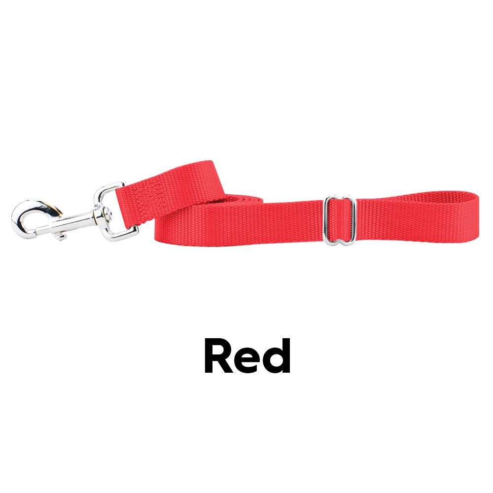5/8" and 1" Premium Nylon Dog Leash - 6': Teal / 1 Inch