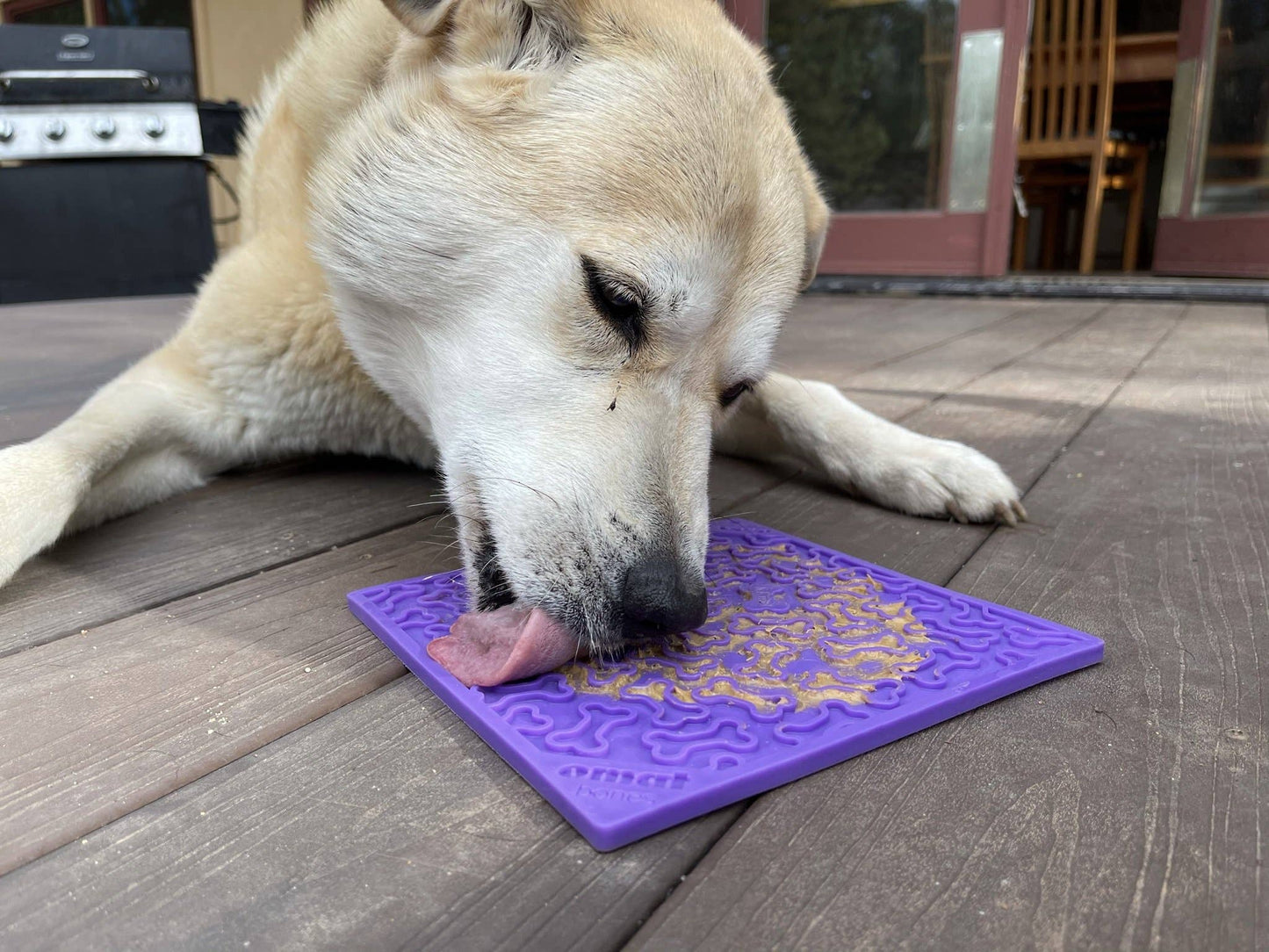 Bones Design Emat Enrichment Licking Mat: Purple Bones E-Mat