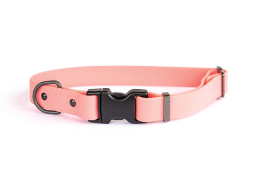 Waterproof Dog Collar Soft YKK Buckle Quick Release : Soft Coral / L 1" Wide 15"-23" Range