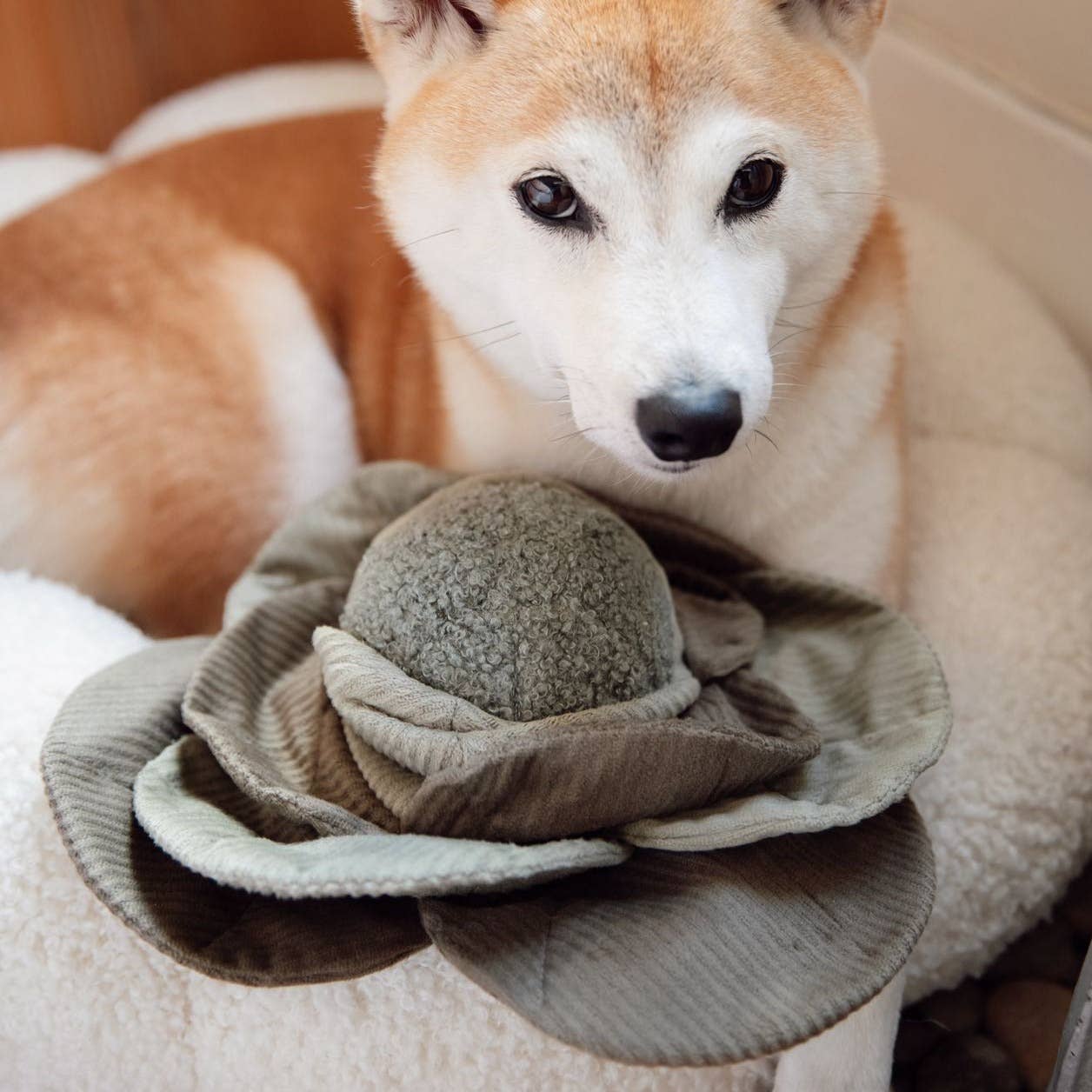 CABBAGE POP//ENRICHMENT DOG TOY: Green / Medium