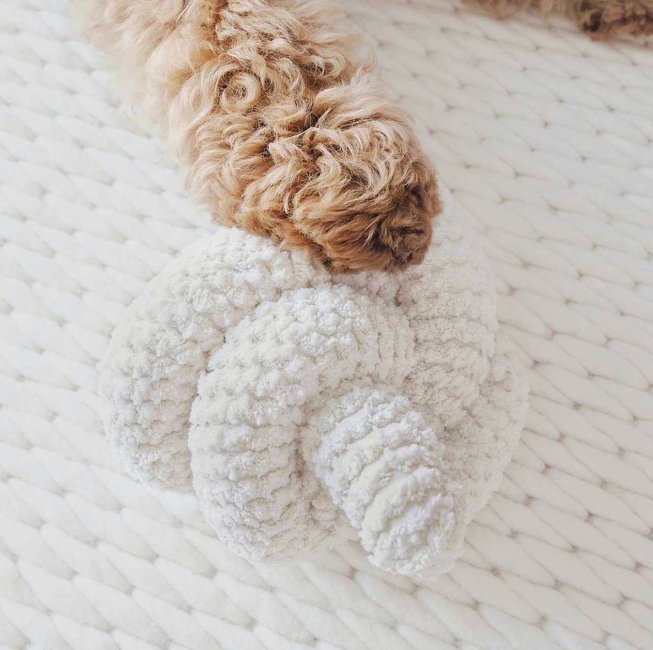 NOU | squeakers//ENRICHMENT DOG TOY: Cream