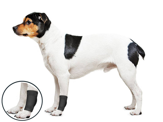 OrthoWrap Ligament Protector: Small