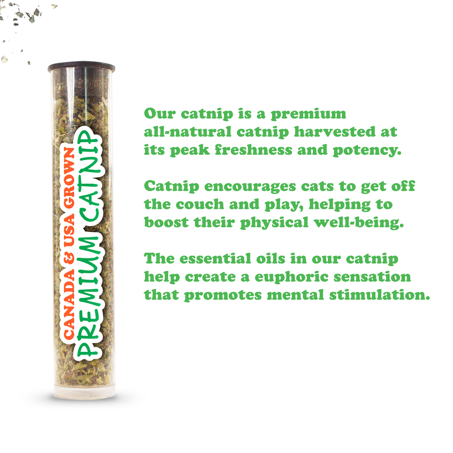 Jump 'n' Jamb - Chameleon - Refillable Catnip Swinging Toy