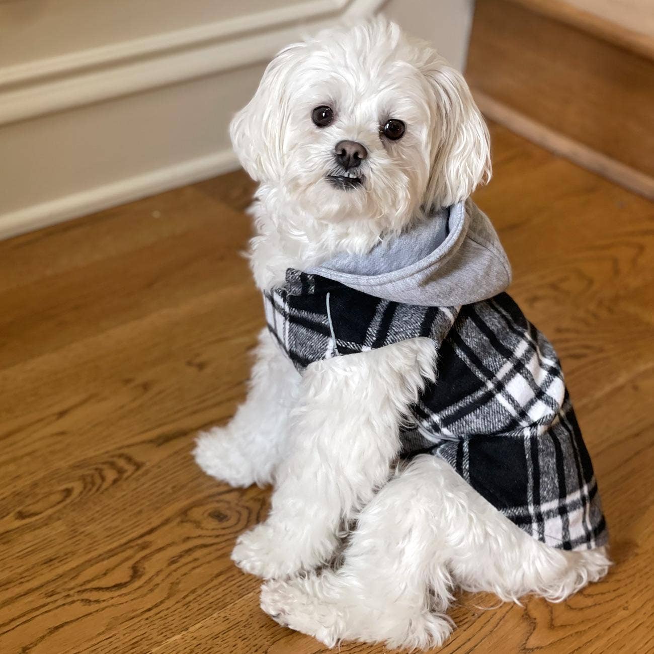 Weekender Dog Sweatshirt Hoodie -Black & White Plaid Flannel: Medium