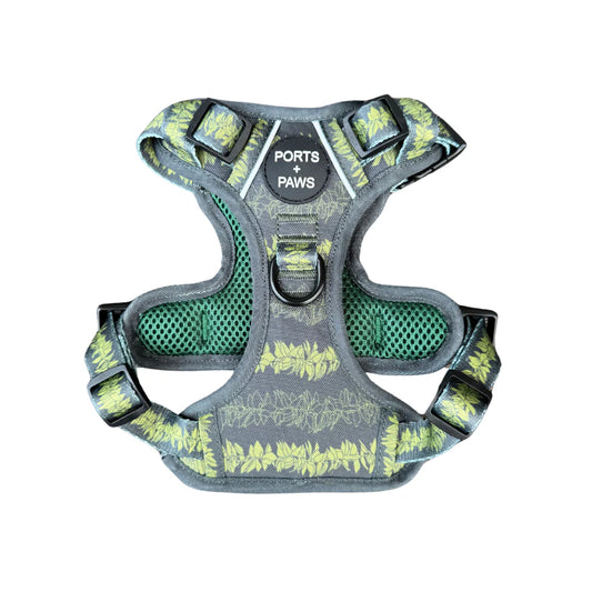 PORTS + PAWS  RUGGED HARNESS - MAILE